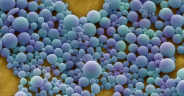 Homöopathische Präparate wirken auch nicht durch Nanopartikel