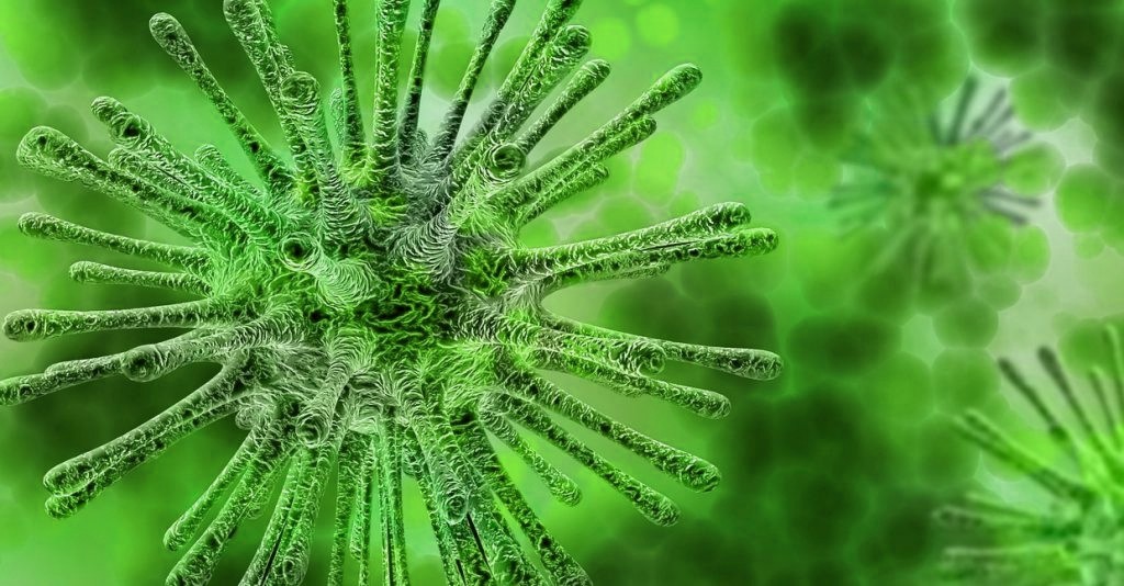 3D-Darstellung von VIren - die sich für homöopathische Nosoden nicht im Mindesten interessieren
