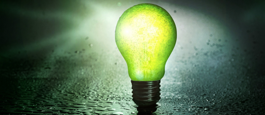Symbol picture: bulb sends green light, the identity color of the INH