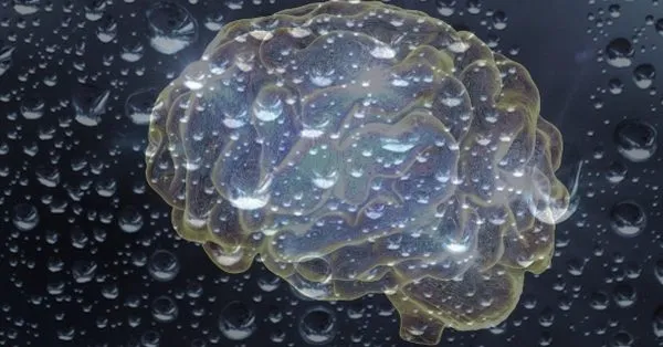 The picture shows a photomontage of an image of a brain structure and water drops as a tongue-in-cheek allusion to the "homeopathic water memory".