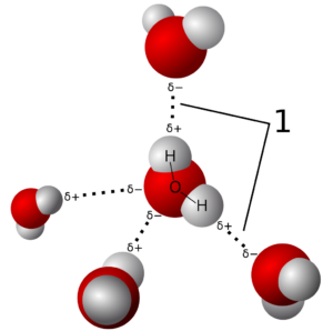 Figure 2 shows a chemical capsule model of multiple hydrogen bonding